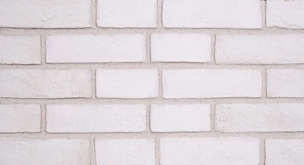 Doğal Kaplama Tuğla / 311-PURE WHITE