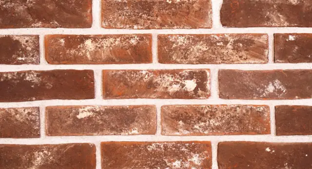 Doğal Kaplama Tuğla / 303-WHITE BROWN