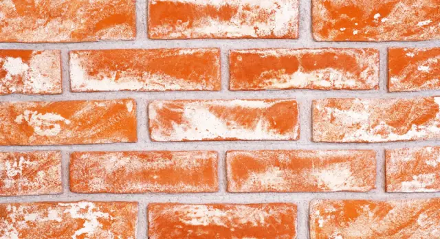 Doğal Kaplama Tuğla / 308-WHITE ORANGE
