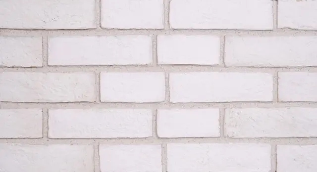 Doğal Kaplama Tuğla / 311-PURE WHITE