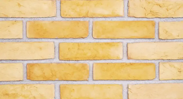 Doğal Kaplama Tuğla / 402-YELLOW BUFF