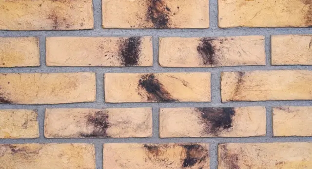 Doğal Kaplama Tuğla / 406-WEATHERED BUFF