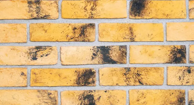 Doğal Kaplama Tuğla / 407-WEATHERED YELLOW BUFF